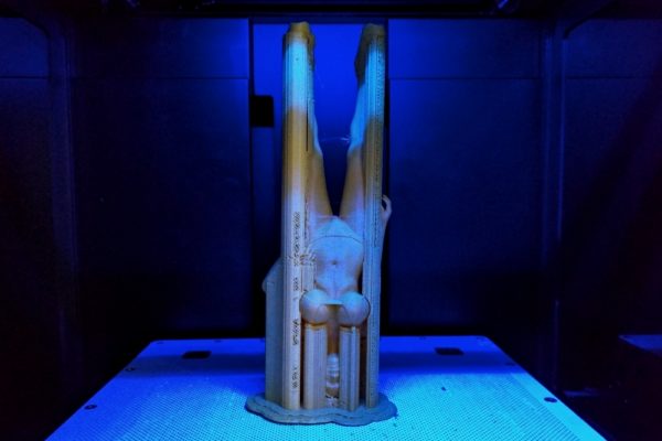 Naomi Wu 3D-scans herself naked to help poor children in the